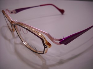 DSCN4238